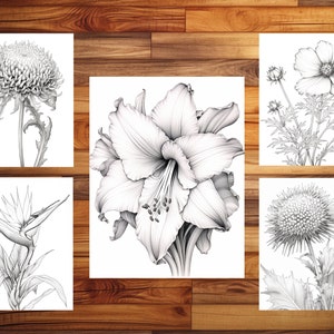 100 pages à colorier de fleurs élégantes - livre de coloriage pour adultes et enfants, niveaux de gris, feuilles de coloriage numériques, téléchargement immédiat, fichier PDF imprimable. image 5