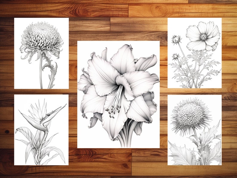 100 pages à colorier de fleurs élégantes - livre de coloriage pour adultes et enfants, niveaux de gris, feuilles de coloriage numériques, téléchargement immédiat, fichier PDF imprimable. image 5