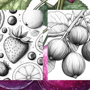 May include: A black and white illustration of a branch of figs with leaves. The figs are drawn in detail, showing their texture and shape.