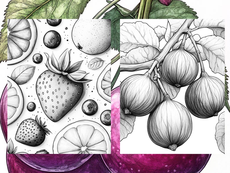 May include: A black and white illustration of a branch of figs with leaves. The figs are drawn in detail, showing their texture and shape.