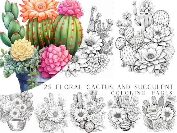 25 Floral Cactus And Succulent Coloring Pages - Adult Coloring Book, Digital Coloring Sheets, Instant Download, Printable PDF File.