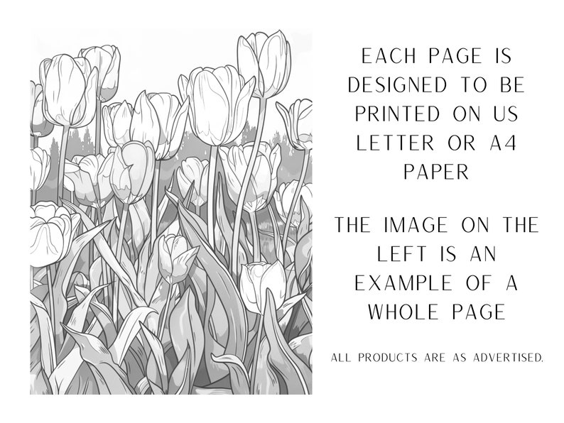 25 Tulip Flower Coloring Pages - Adults and Kids Coloring Book ...