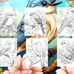25 Cute Bird Coloring Pages - Adults and Kids Coloring Book, Digital ...