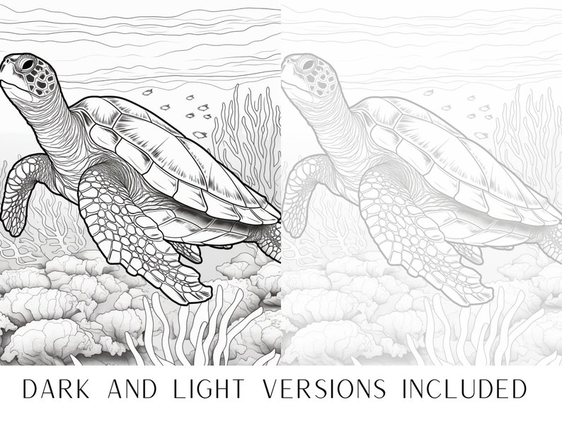 May include: A black and white line drawing of a sea turtle swimming through coral reefs. The turtle is facing right and has a detailed shell. The coral reefs are in the background and are also detailed.