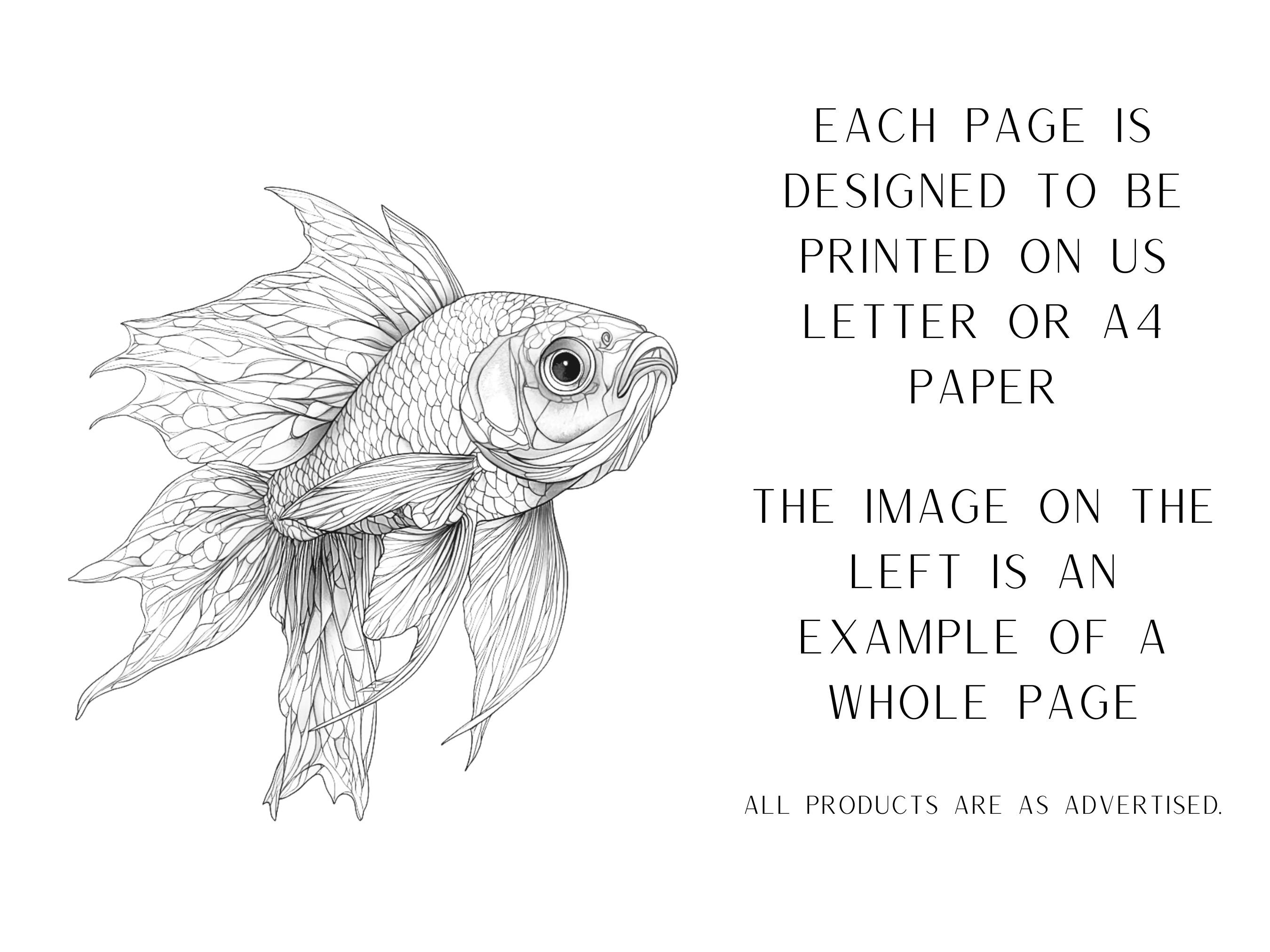50 Assorted Fish Coloring Pages - Adult and Kids Coloring Book, Ocean ...