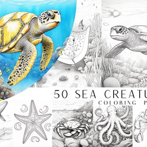 50 Sea Creature Coloring Pages - Adult And Kids Coloring Book, Ocean Coloring Sheets, Instant Download, Printable PDF File.