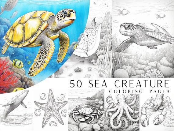 50 Sea Creature Coloring Pages - Adult And Kids Coloring Book, Ocean Coloring Sheets, Instant Download, Printable PDF File.