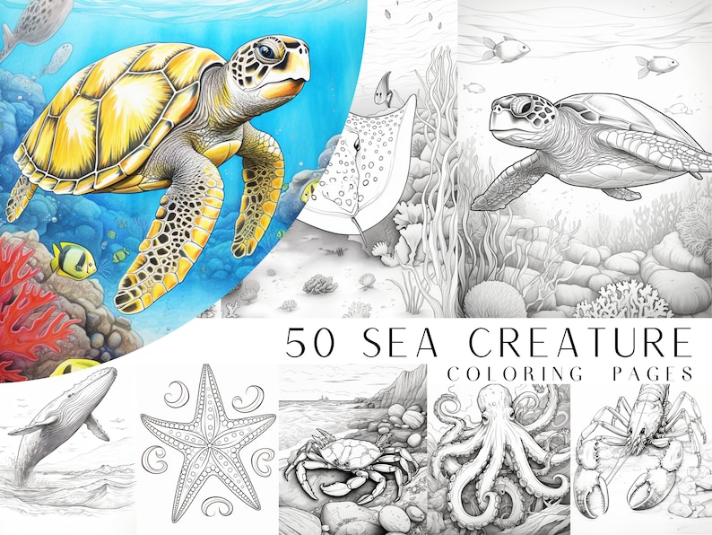 May include: A collection of 50 coloring pages featuring sea creatures. The pages include a variety of sea life, such as a sea turtle, a starfish, a crab, an octopus, and a lobster. The pages are black and white and are ready to be colored.