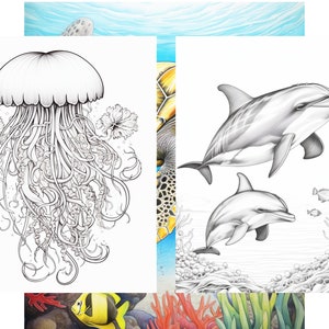 May include: A black and white line drawing of a jellyfish with tentacles and two flowers. A black and white line drawing of two dolphins swimming in the ocean with coral and seaweed.