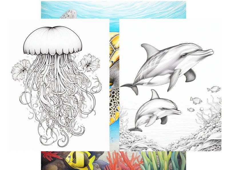 May include: A black and white line drawing of a jellyfish with tentacles and two flowers. A black and white line drawing of two dolphins swimming in the ocean with coral and seaweed.