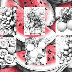 May include: A collage of black and white line drawings of various fruits, including kiwi, apples, raspberries, and currants. The drawings are set against a background of red watermelon slices.