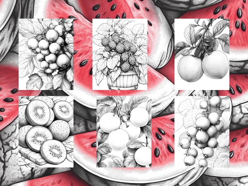 May include: A collage of black and white line drawings of various fruits, including kiwi, apples, raspberries, and currants. The drawings are set against a background of red watermelon slices.