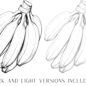 May include: A black and white line drawing of a bunch of bananas.