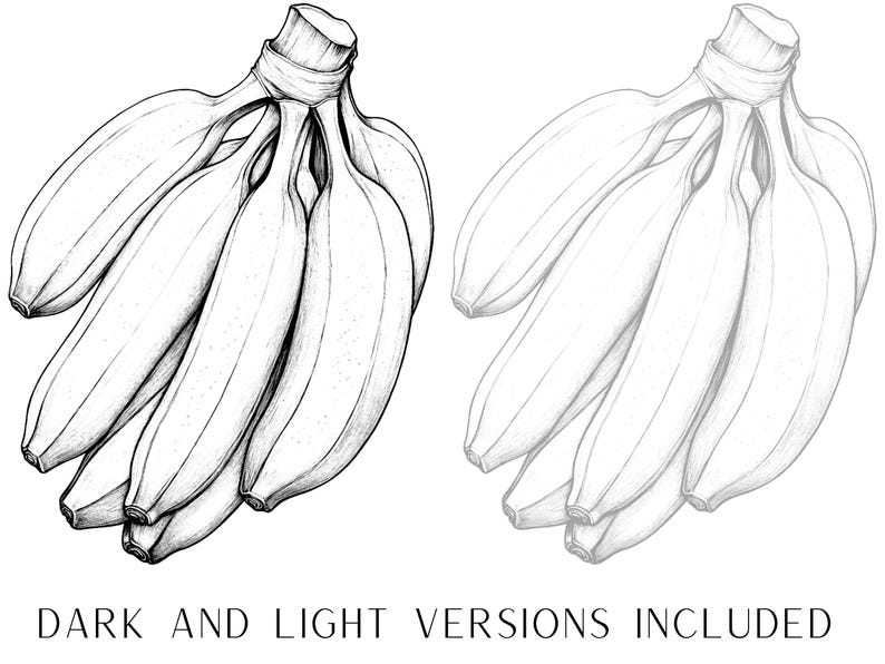 May include: A black and white line drawing of a bunch of bananas.