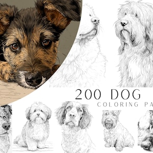May include: An image featuring a variety of dog illustrations, including a detailed close-up of a brown and black dog. The image also shows several black and white line drawings of different dog breeds. The text "200 DOG COLORING PAGES" is displayed.