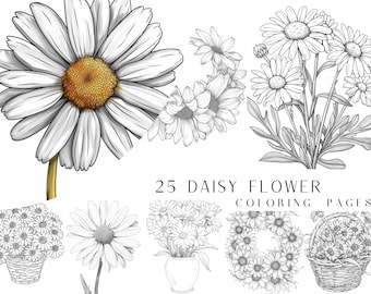 25 Daisy Flower Coloring Pages - Adults And Kids Coloring Book, Greyscale, Digital Coloring Sheets, Instant Download, Printable PDF File.
