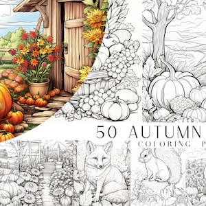 50 枚の秋の塗り絵 - 子供と大人の塗り絵、グレースケールの塗り絵、即時ダウンロード、印刷可能な PDF ファイル