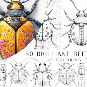 Może przedstawiać: Zbiór 50 stron do kolorowania z szczegółowymi ilustracjami chrząszczy. Strony są czarno-białe i przedstawiają różne gatunki chrząszczy, w tym niektóre z misternymi wzorami i oznaczeniami.  "50 Brilliant Beetle Coloring Pages" jest napisane pogrubioną czcionką u dołu obrazu.