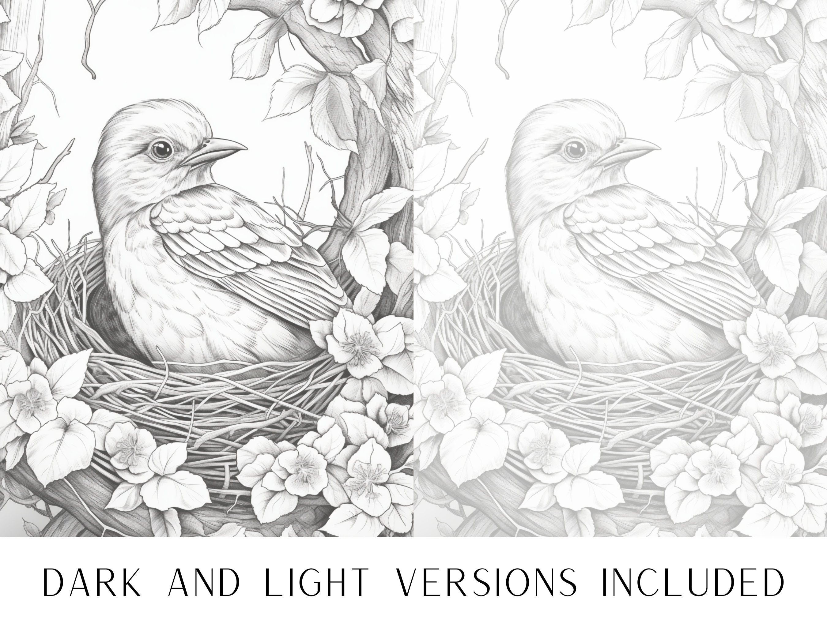 25 Cute Bird Coloring Pages - Adults and Kids Coloring Book, Digital ...