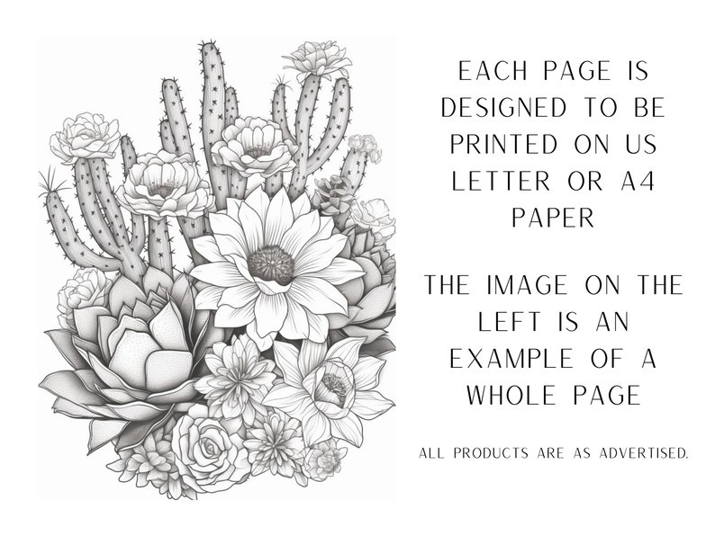 25 Floral Cactus and Succulent Coloring Pages Adult Coloring - Etsy