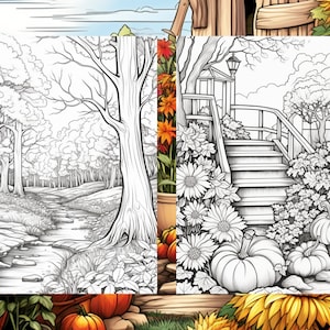 May include: A black and white line drawing of a fall scene with a stream running through a forest and a bridge with steps leading up to a gazebo. Pumpkins and sunflowers are in the foreground.