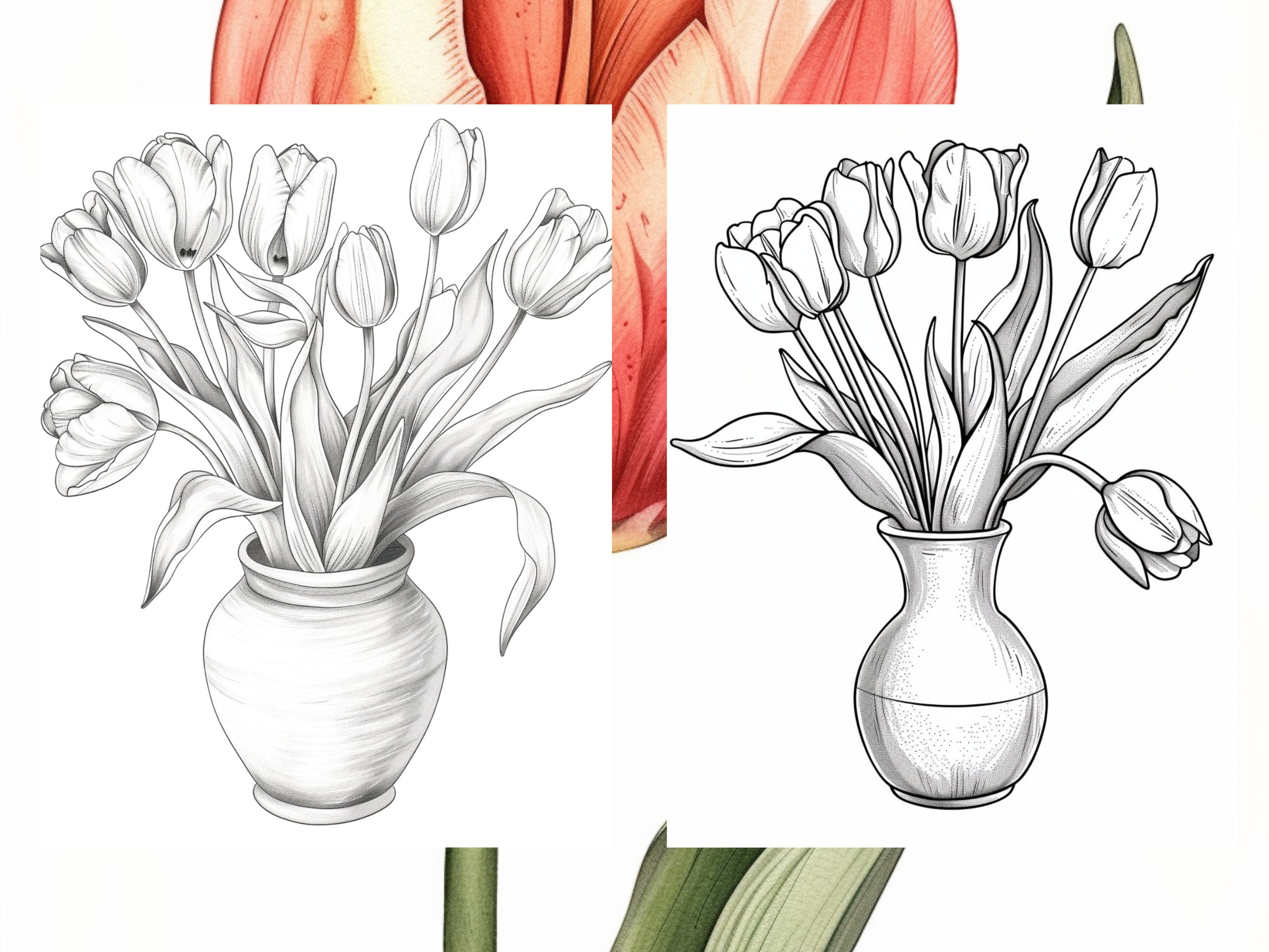 25 Tulip Flower Coloring Pages - Adults and Kids Coloring Book ...