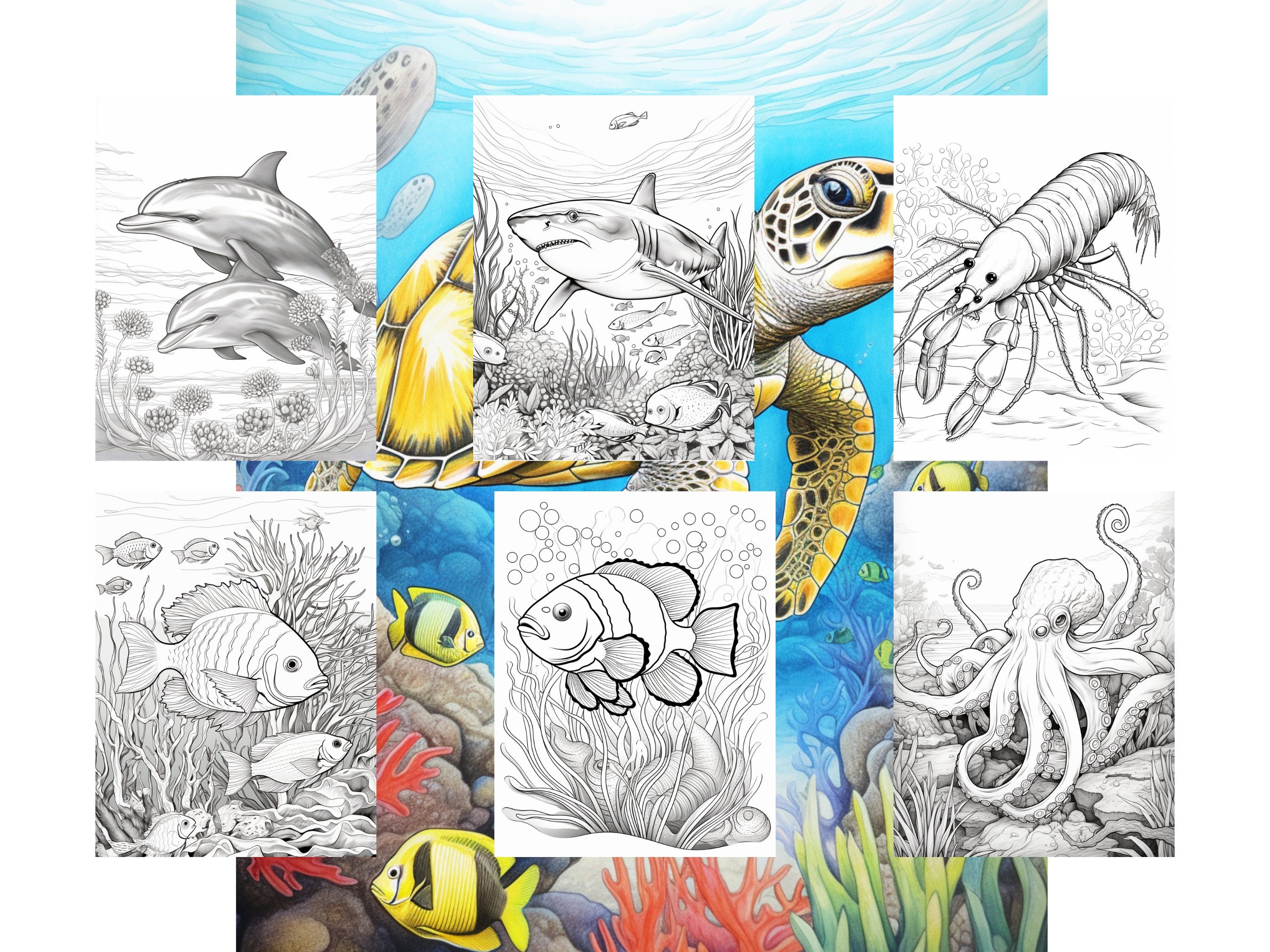 50 Sea Creature Coloring Pages - Adult and Kids Coloring Book, Ocean ...