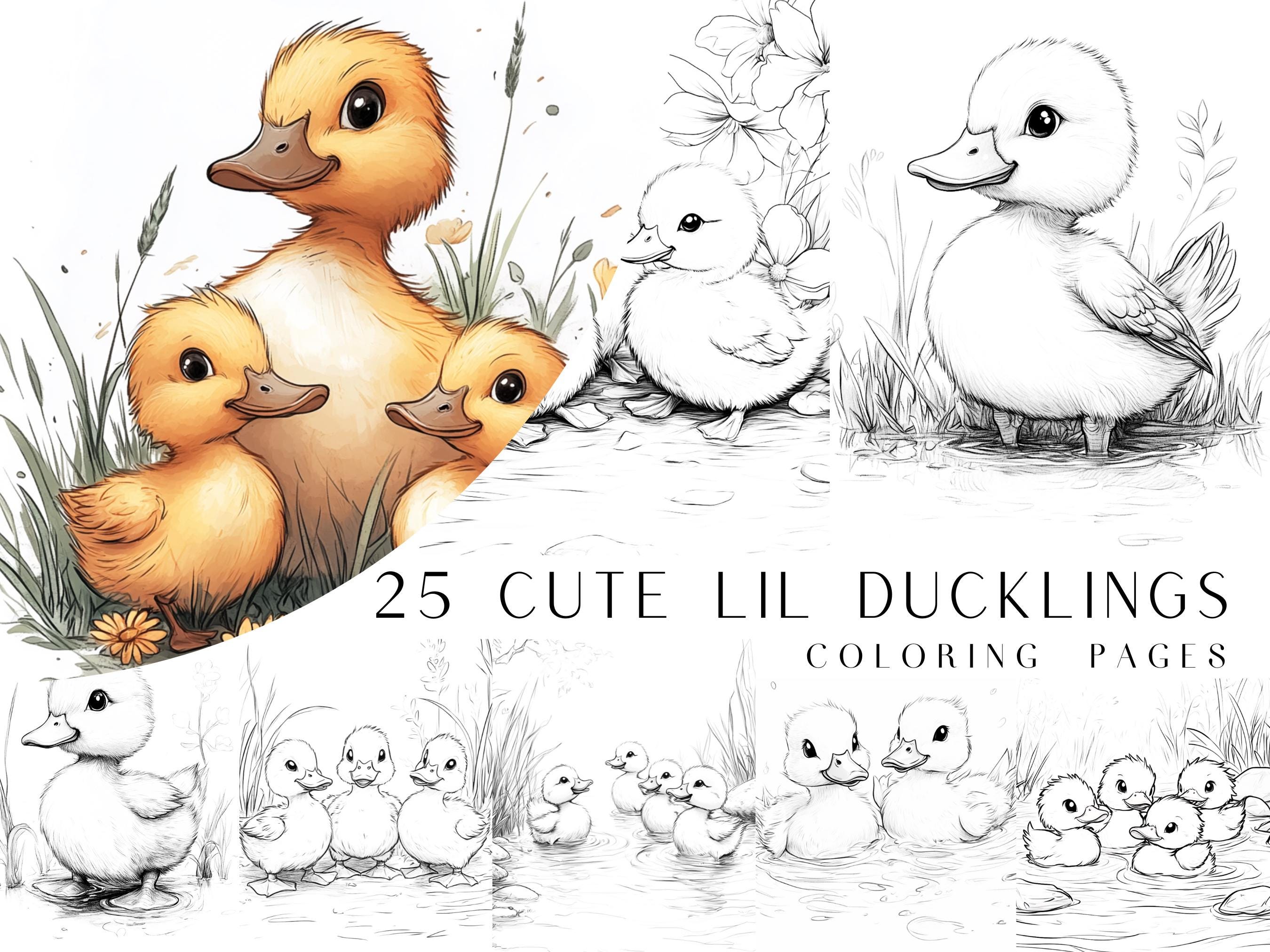 Página para colorear de pato - Etsy México, image size:2700x2025