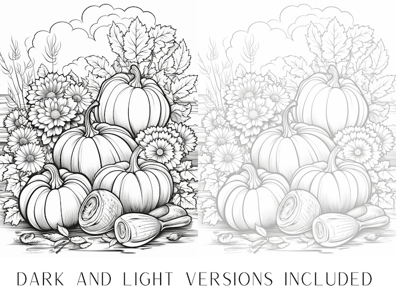 May include: A black and white line drawing of a fall harvest scene with pumpkins and chrysanthemums.  The pumpkins are arranged in a pyramid shape with the largest pumpkin at the top.  The chrysanthemums are arranged around the pumpkins.  The drawing is on a white background.