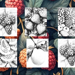 May include: A set of six black and white illustrations of various fruits and berries. The illustrations include strawberries, blackberries, watermelon, pineapple, grapes, and apples.