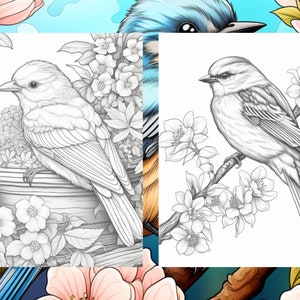 25 Cute Bird Coloring Pages - Adults and Kids Coloring Book, Digital ...