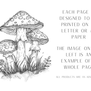 K&ouml;nnte beinhalten: Schwarz-wei&szlig;-Linienzeichnung von drei Pilzen mit roten und wei&szlig;en Punkten. Die Pilze sind realistisch gezeichnet und vor einem Hintergrund aus Gras platziert. Der Text "EACH PAGE IS DESIGNED TO BE PRINTED ON US LETTER OR A4 PAPER THE IMAGE ON THE LEFT IS AN EXAMPLE OF A WHOLE PAGE ALL PRODUCTS ARE AS ADVERTISED." ist unter den Pilzen gedruckt.