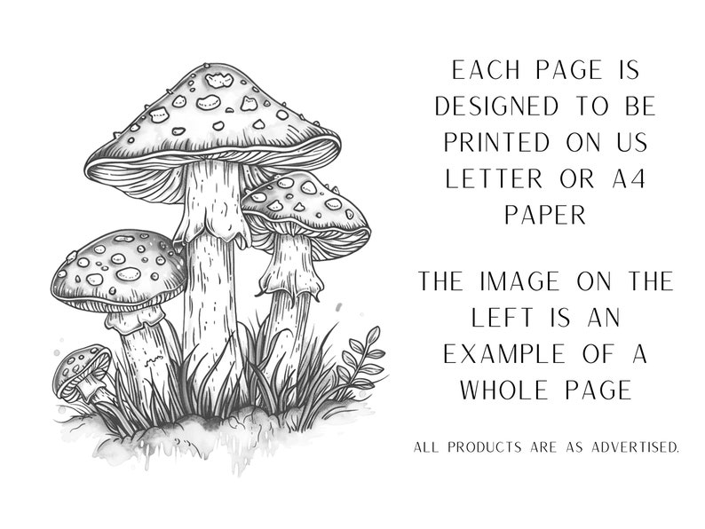 K&ouml;nnte beinhalten: Schwarz-wei&szlig;-Linienzeichnung von drei Pilzen mit roten und wei&szlig;en Punkten. Die Pilze sind realistisch gezeichnet und vor einem Hintergrund aus Gras platziert. Der Text "EACH PAGE IS DESIGNED TO BE PRINTED ON US LETTER OR A4 PAPER THE IMAGE ON THE LEFT IS AN EXAMPLE OF A WHOLE PAGE ALL PRODUCTS ARE AS ADVERTISED." ist unter den Pilzen gedruckt.