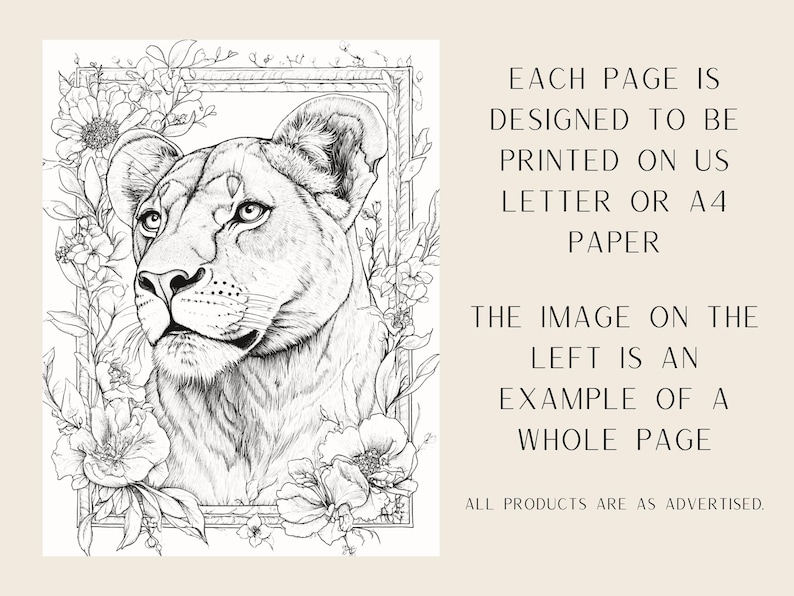May include: A black and white line drawing of a lion's head with floral details. The image is framed and surrounded by flowers. The text "EACH PAGE IS DESIGNED TO BE PRINTED ON US LETTER OR A4 PAPER THE IMAGE ON THE LEFT IS AN EXAMPLE OF A WHOLE PAGE ALL PRODUCTS ARE AS ADVERTISED." is below the image.