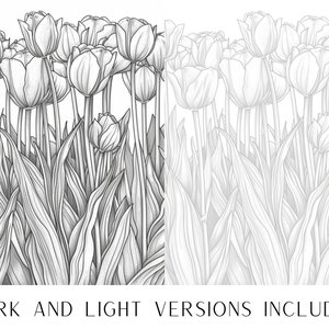 25 Tulip Flower Coloring Pages - Adults and Kids Coloring Book ...