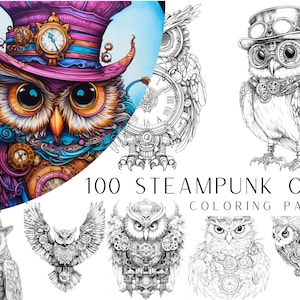 May include: A selection of steampunk owl colouring pages. The image shows a colourful illustration of an owl wearing a top hat with clockwork details, and several black and white line drawings of owls with gears and goggles. Text reads "100 Steampunk Owl Colouring Pages."