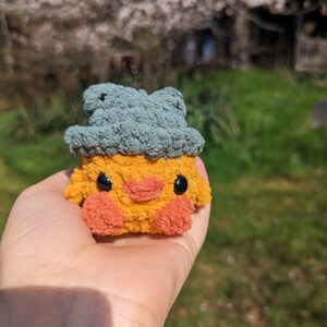 Duck With Frog Hat