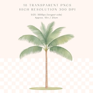 May include: A watercolor illustration of a green palm tree with a brown trunk. The tree is isolated on a white background with a checkered pattern.
