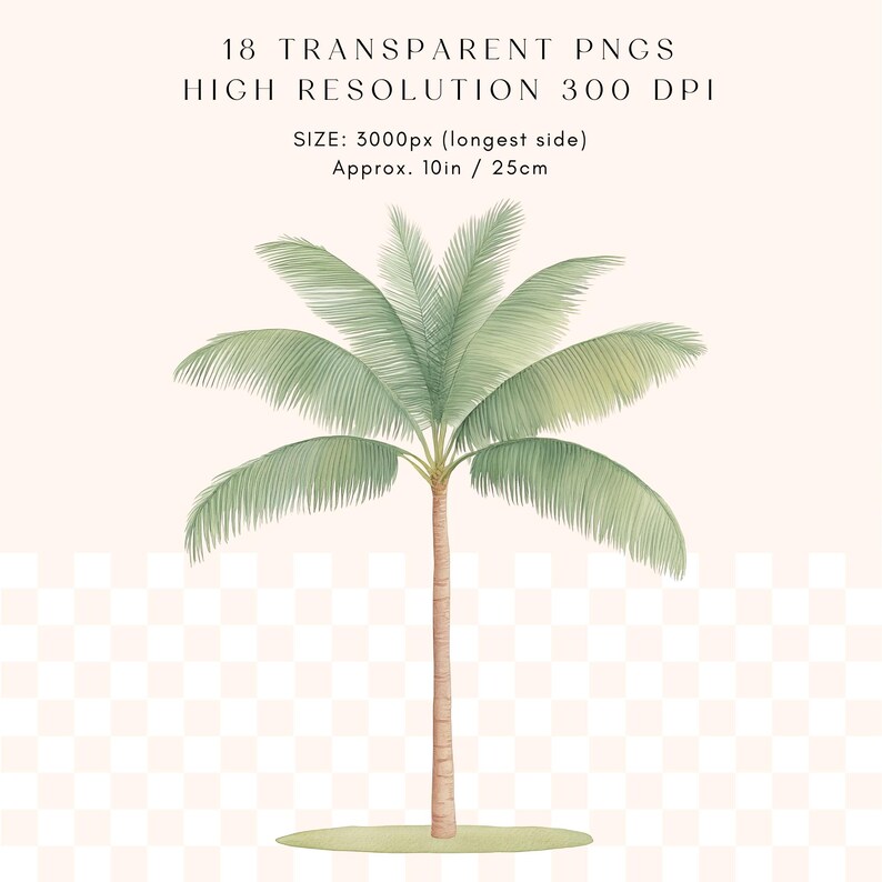May include: A watercolor illustration of a green palm tree with a brown trunk. The tree is isolated on a white background with a checkered pattern.