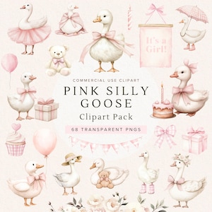 Clipart de baby shower de ganso tonto / Ganso rosa con globo / Decoración de acuarela / Lindo animal de granja vintage / Arte infantil caprichoso / Archivos PNG