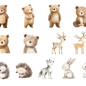 May include: Watercolor illustration of various woodland animals, including bears, deer, hedgehogs, a wolf, and rabbits. The animals are depicted in a whimsical style with soft colors and delicate details.