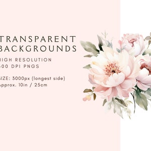 Peony Border Clipart | Blush Pink | Peonies Png | Watercolor Floral ...