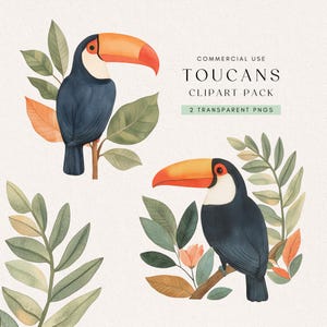 Cute Toucan Clipart | Tropical Birds PNG | Colorful Toucan Graphics | Illustration | Scrapbooking | Digital Download | Commercial Use