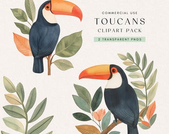 Cute Toucan Clipart | Tropical Birds PNG | Colorful Toucan Graphics | Illustration | Scrapbooking | Digital Download | Commercial Use