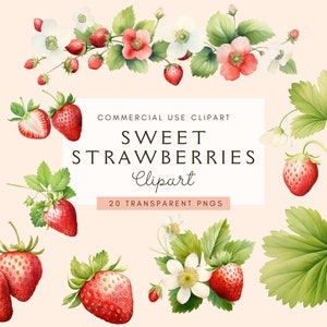 Fraises sucrées des cliparts | Baby Shower png | Aquarelle | Transparente | Girl Junk Journal Graphics | Jolies illustrations d'invitation