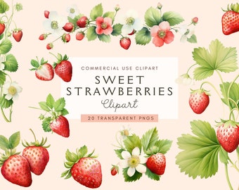Fraises sucrées des cliparts | Baby Shower png | Aquarelle | Transparente | Girl Junk Journal Graphics | Jolies illustrations d'invitation
