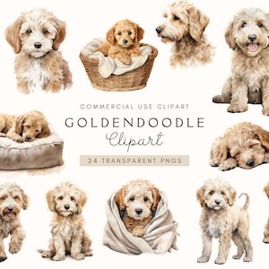 Clipart Goldendoodle / Download digitale / Clipart Golden Doodle / Amante dei cani / Licenza commerciale / Sublimazione / Arte murale / Mix di barboncini