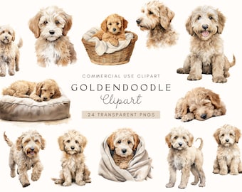 Goldendoodle Clipart | Digital Download | Golden Doodle Clipart | Dog Lover | Commercial License | Sublimation | Wall Art | Poodle Mix