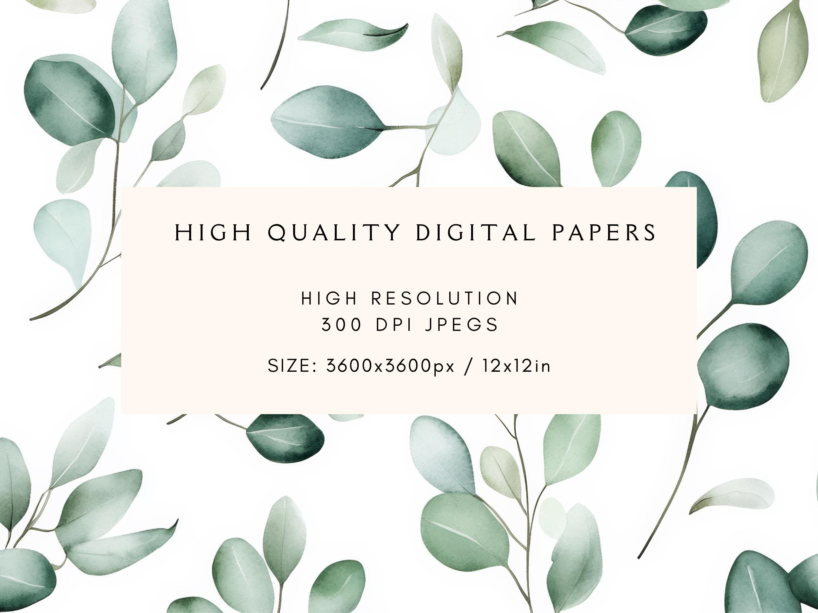 Eucalyptus Greenery Seamless Pattern | Leaf Digital Paper | Junk ...