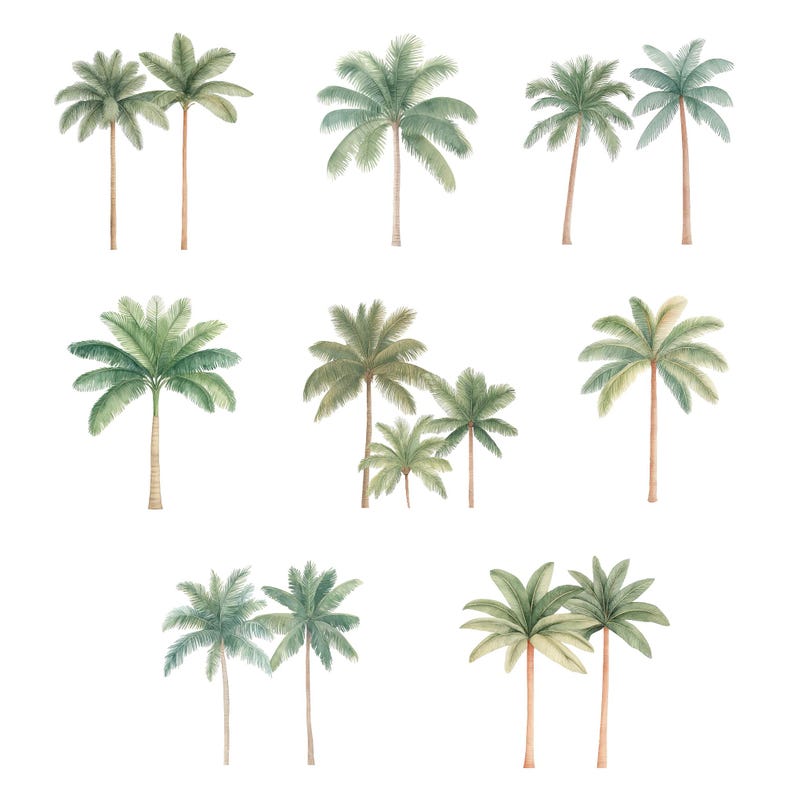 May include: A collection of ten watercolor illustrations of palm trees. The trees are depicted in various poses and sizes, with some leaning to the side and others standing tall. The illustrations are done in shades of green and brown, with a white background.